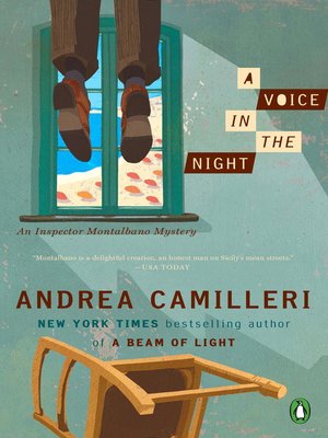 cover image of A Voice in the Night